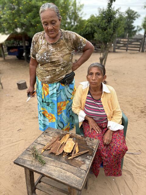 Guillermina ha Hortensia